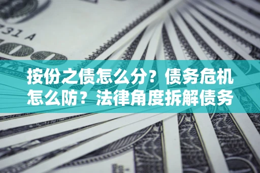武汉按份之债怎么分？债务危机怎么防？法律角度拆解债务分配与风险自保指南