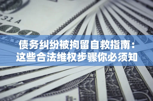 武汉债务纠纷被拘留自救指南：这些合法维权步骤你必须知道！