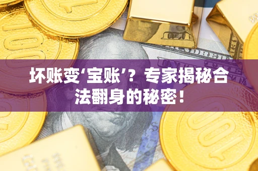 武汉坏账变‘宝账’？专家揭秘合法翻身的秘密！