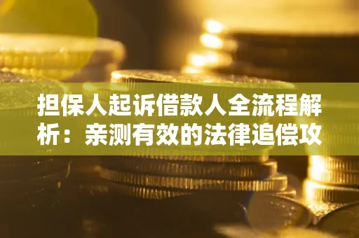 武汉担保人起诉借款人全流程解析：亲测有效的法律追偿攻略