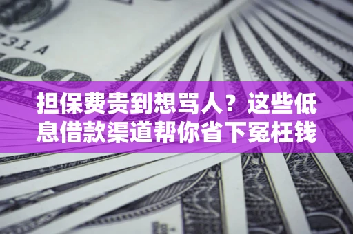 武汉担保费贵到想骂人？这些低息借款渠道帮你省下冤枉钱