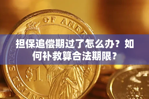 武汉担保追偿期过了怎么办？如何补救算合法期限？