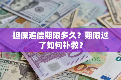 武汉担保追偿期限多久？期限过了如何补救？
