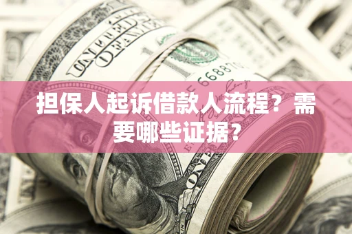 武汉担保人起诉借款人流程？需要哪些证据？