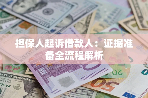 武汉担保人起诉借款人：证据准备全流程解析