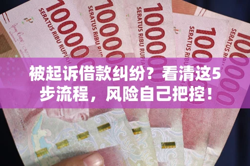 武汉被起诉借款纠纷？看清这5步流程，风险自己把控！