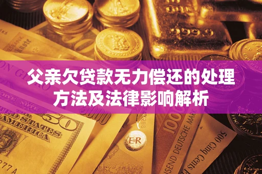 武汉父亲欠贷款无力偿还的处理方法及法律影响解析