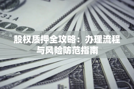 武汉股权质押全攻略：办理流程与风险防范指南