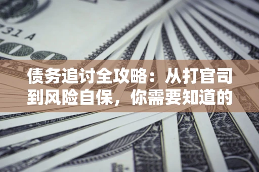 武汉债务追讨全攻略：从打官司到风险自保，你需要知道的法律智慧