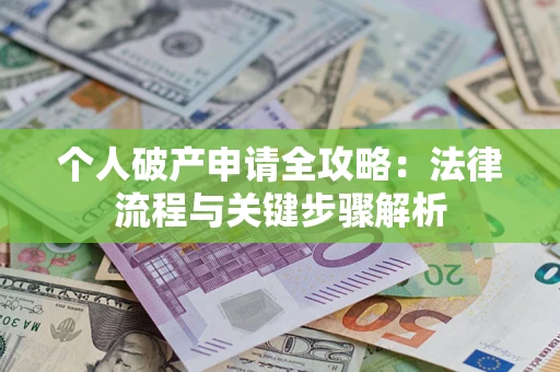 武汉个人破产申请全攻略：法律流程与关键步骤解析