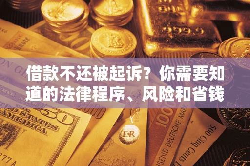 武汉借款不还被起诉？你需要知道的法律程序、风险和省钱技巧